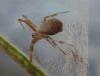 220984 – Photo : Didier Levasseur – Thaïlande